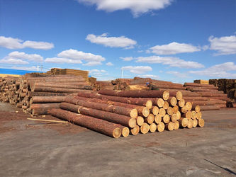 Harbin Yunwang Economy Trade Co.,Ltd.